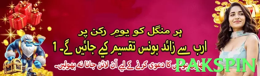 pakspin Pakistan - 3