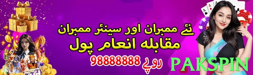 pakspin Pakistan - 3