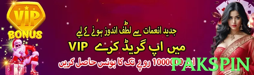 pakspin Pakistan - 3